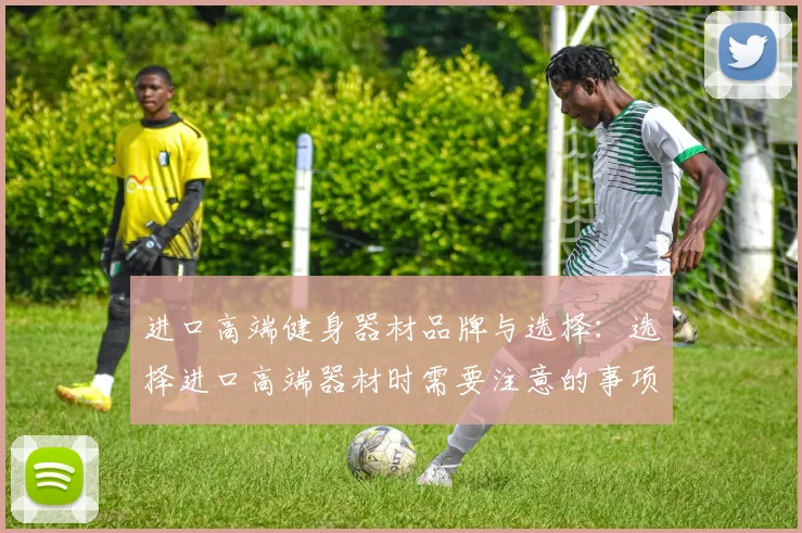 进口高端健身器材品牌与选择:选择进口高端器材时需要注意的事项